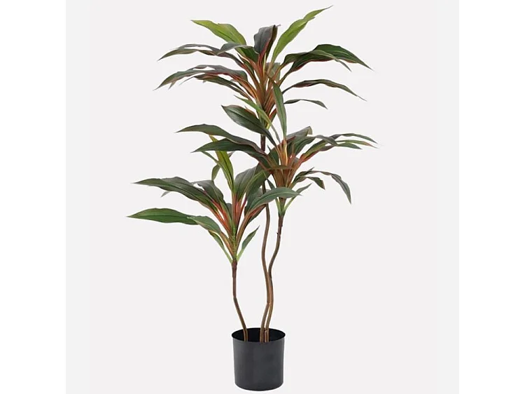 Pianta artificiale Dracaena