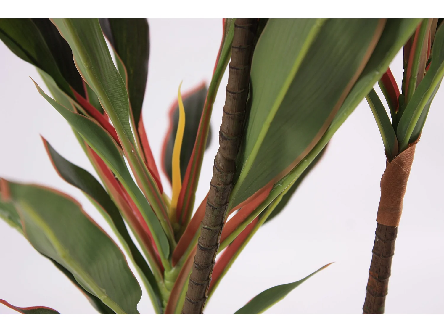 Pianta artificiale Dracaena