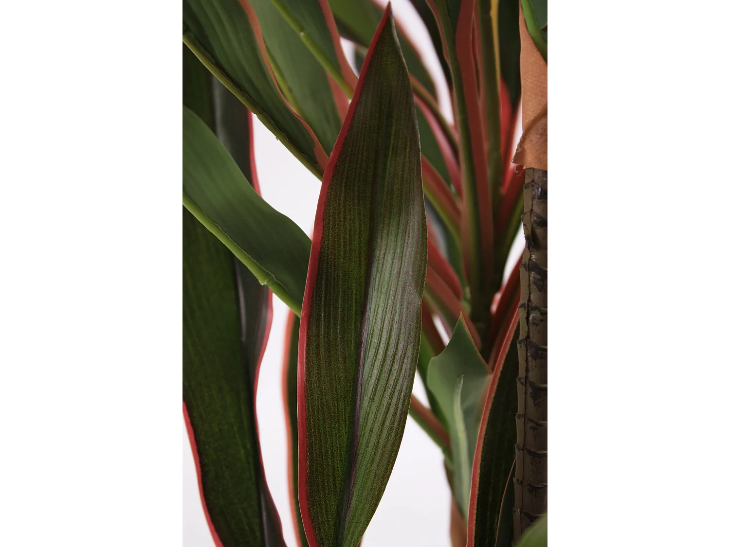 Pianta artificiale Dracaena