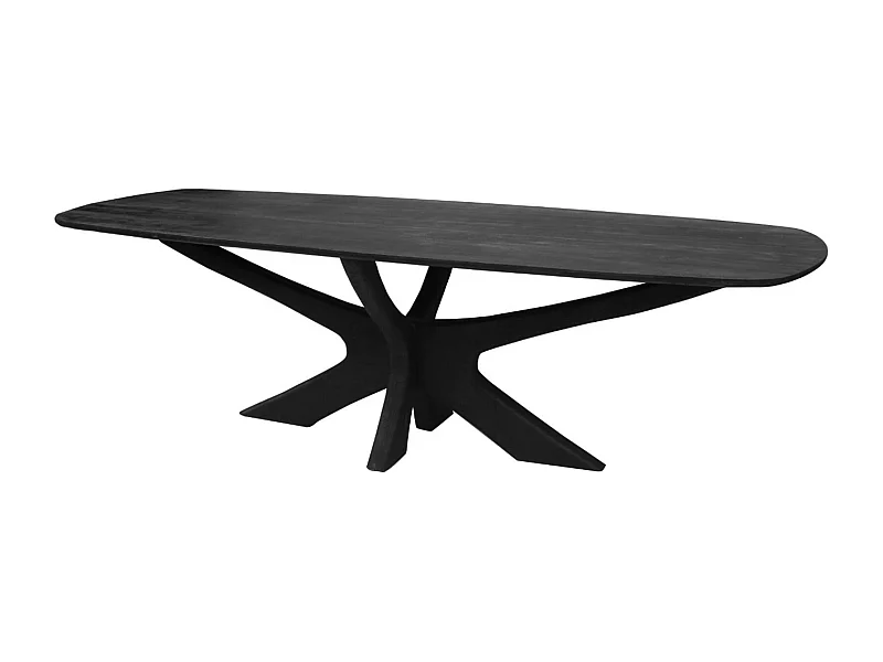 EPSY-Table à manger Ovale 8/10 personnes 220 cm en bois massif noir