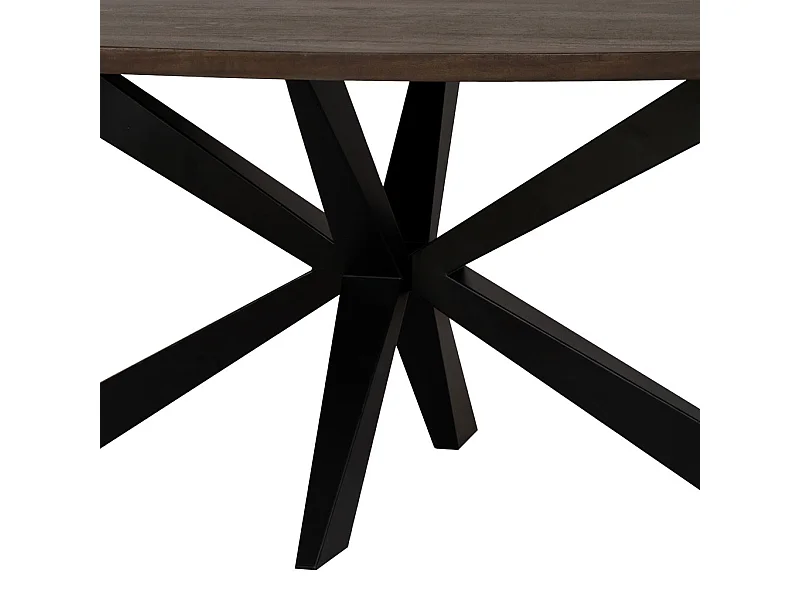 Ovaler Esstisch mit Schweizer Spinnenbein, 200x100x76, holzfarben