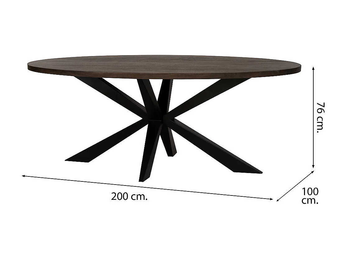 Ovaler Esstisch mit Schweizer Spinnenbein, 200x100x76, holzfarben