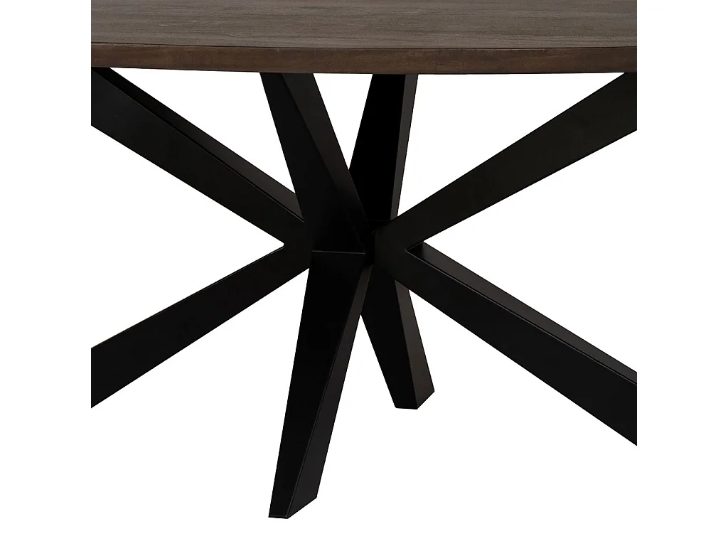 Ovaler Esstisch mit Schweizer Spinnenbein, 200x100x76, holzfarben