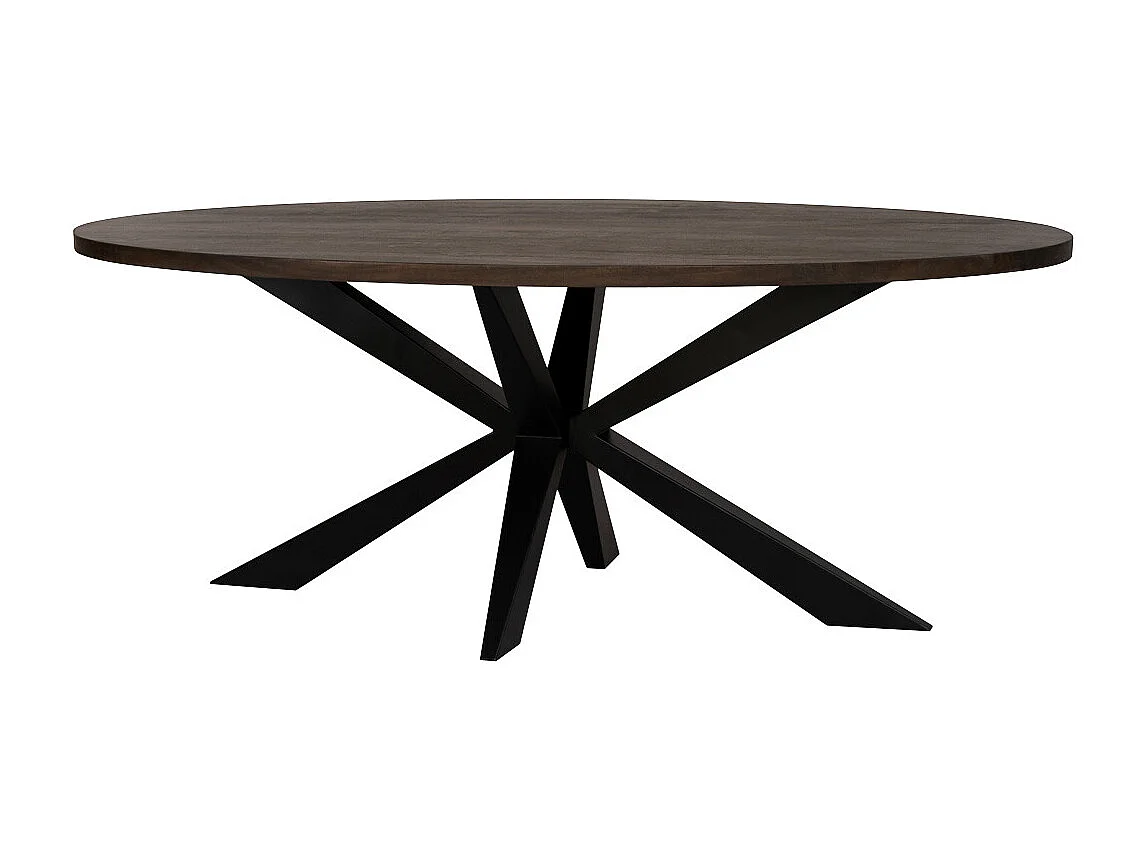 Ovaler Esstisch mit Schweizer Spinnenbein, 200x100x76, holzfarben