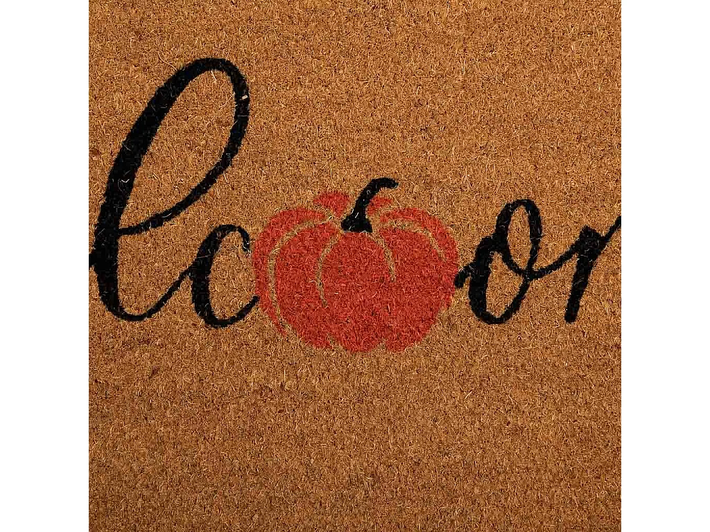 Felpudo fibra natural y goma marron 45x75x1,5