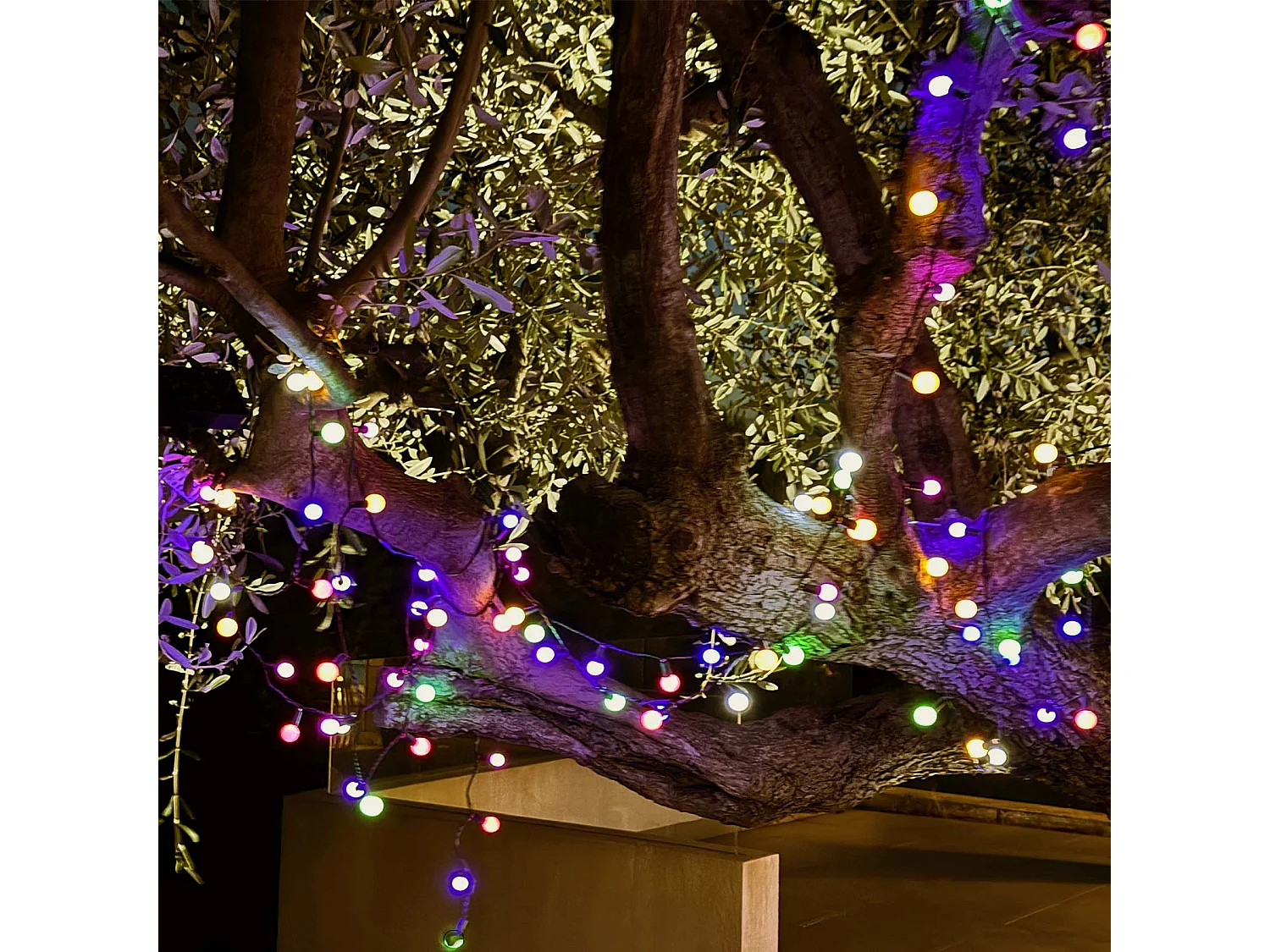 Solar lichtsnoeren 100LED BILLY