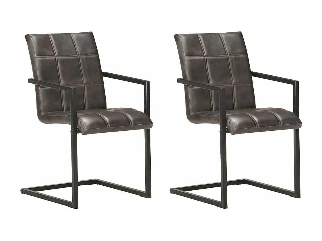 Lot de 2 chaises de salle à manger cuisine cantilever design rétro cuir véritable gris CDS020326
