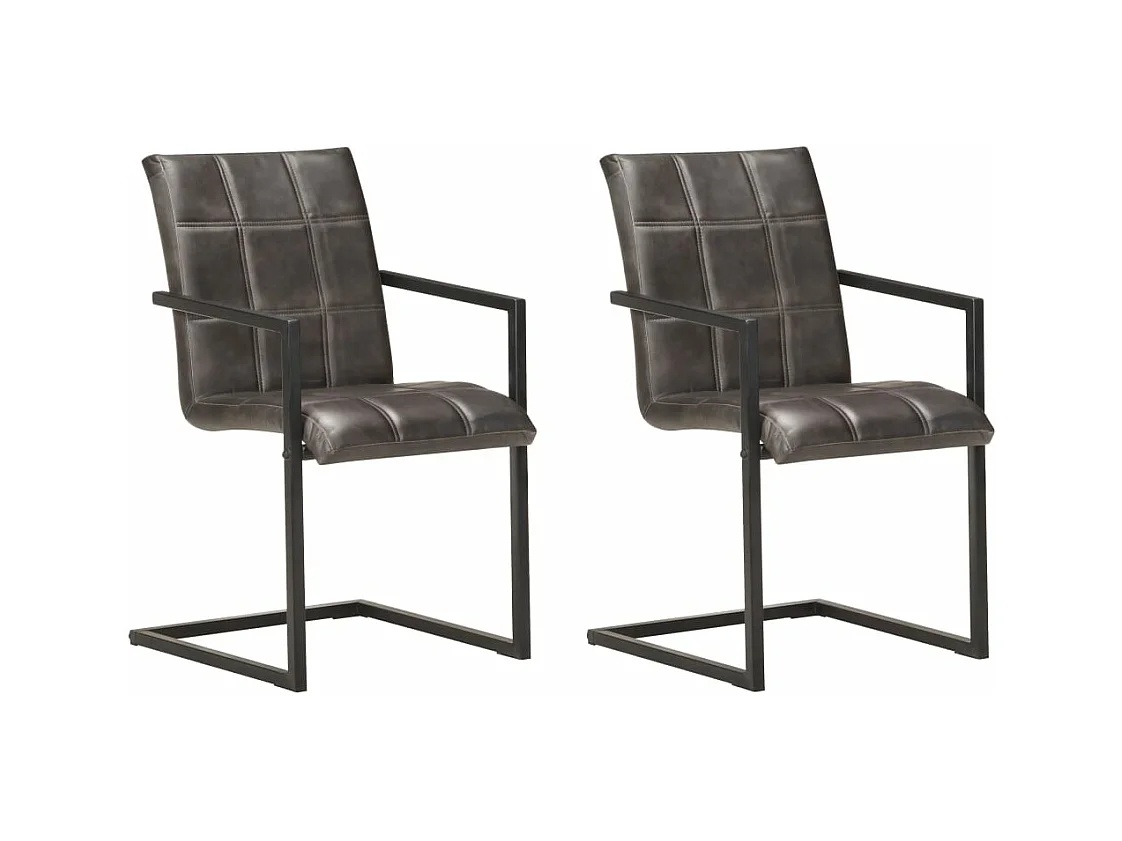 Lot de 2 chaises de salle à manger cuisine cantilever design rétro cuir véritable gris CDS020326