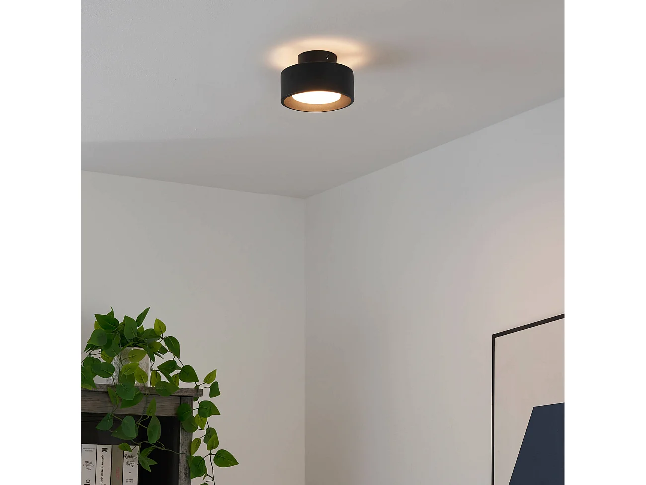 Plafonnier spot noir IP20 15 cm - Prins