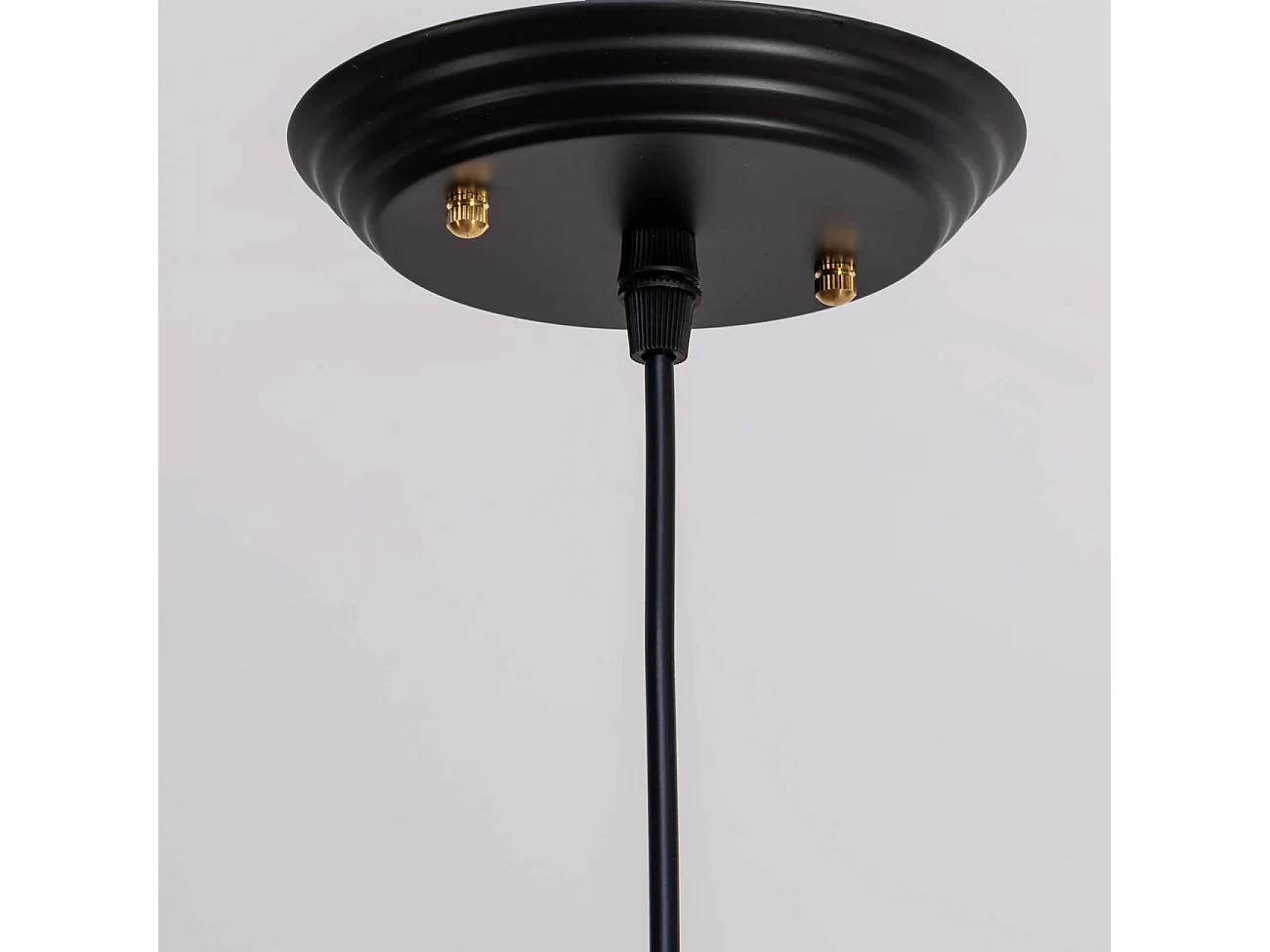 Suspension gamelle noire - Aster