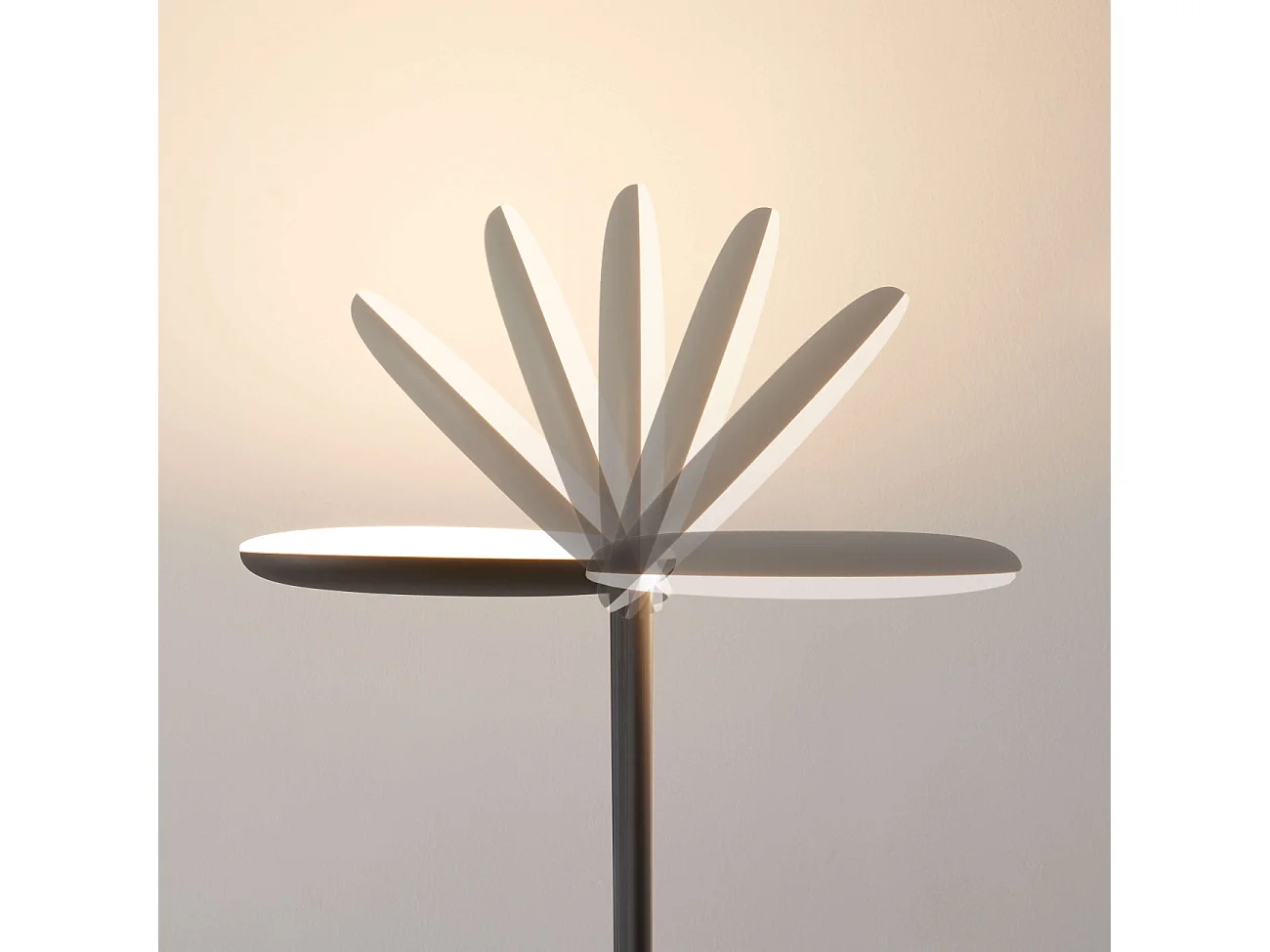 Lampadaire noir design épuré tête orientable dimmable - Kalena
