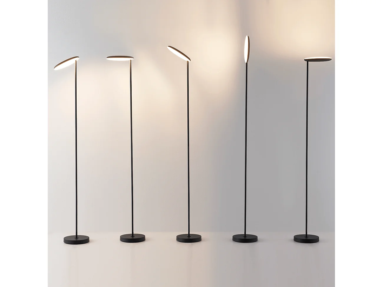 Lampadaire noir design épuré tête orientable dimmable - Kalena