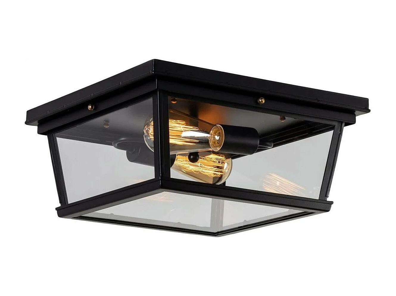 Plafonnier Noir Design avec Vitres en Verre - Velia