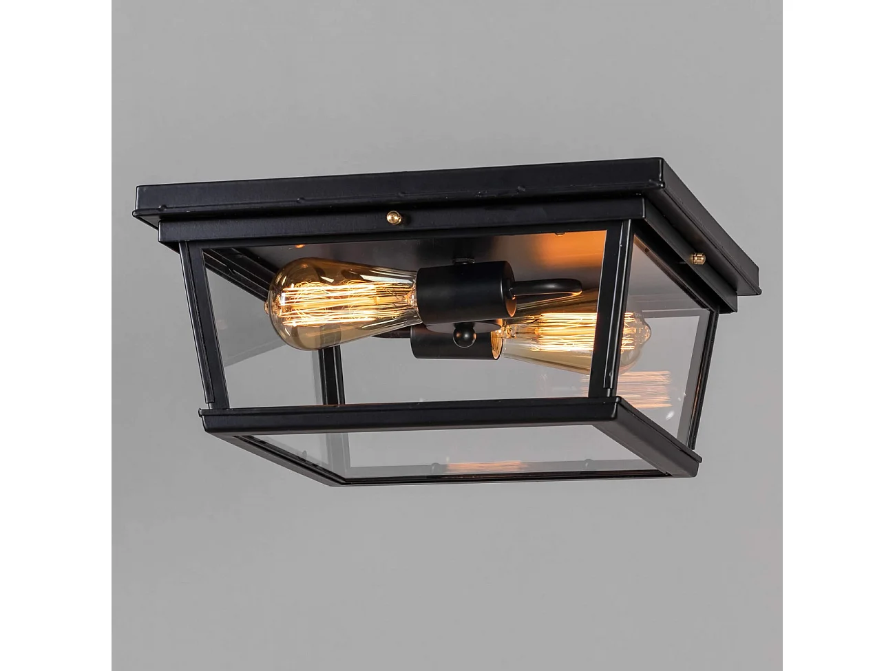 Plafonnier Noir Design avec Vitres en Verre - Velia