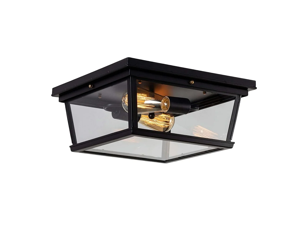 Plafonnier Noir Design avec Vitres en Verre - Velia