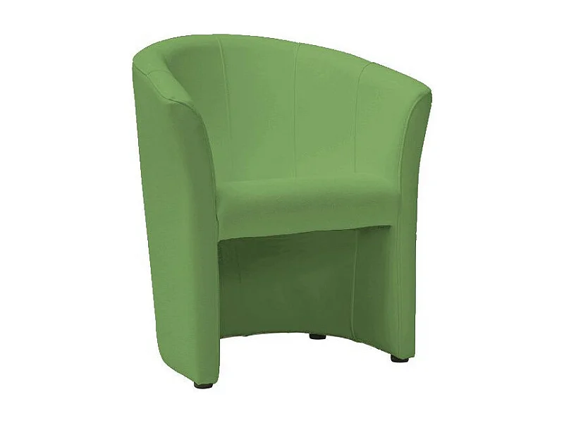 Fauteuil en cuir - Vert - H 76 x L 67 x P 60 cm