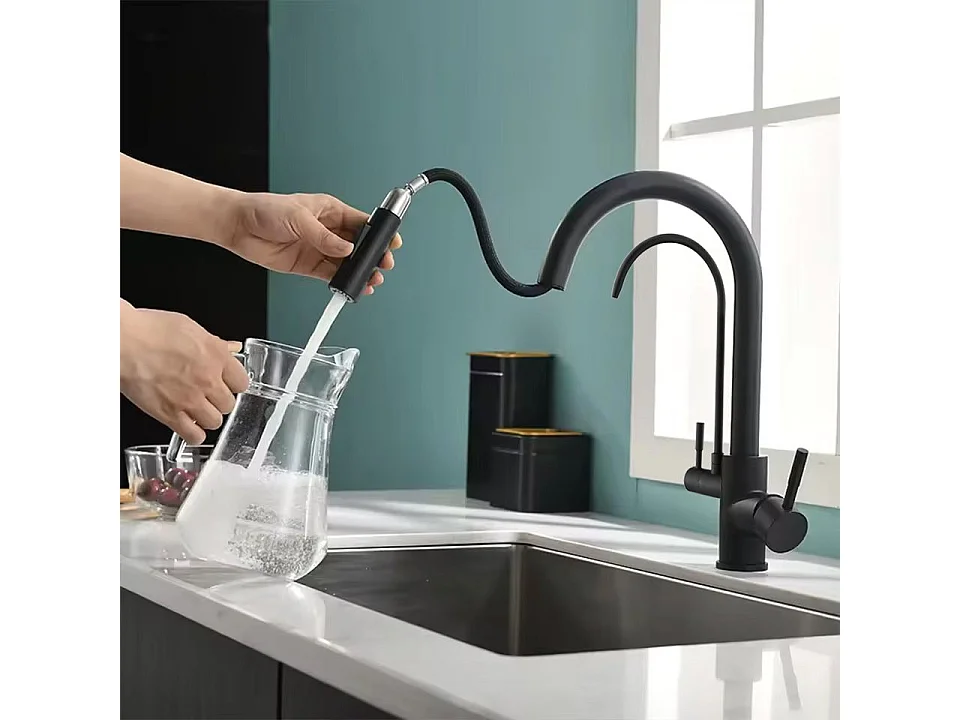 Robinet De Cuisine Rea Eco Fresh Black