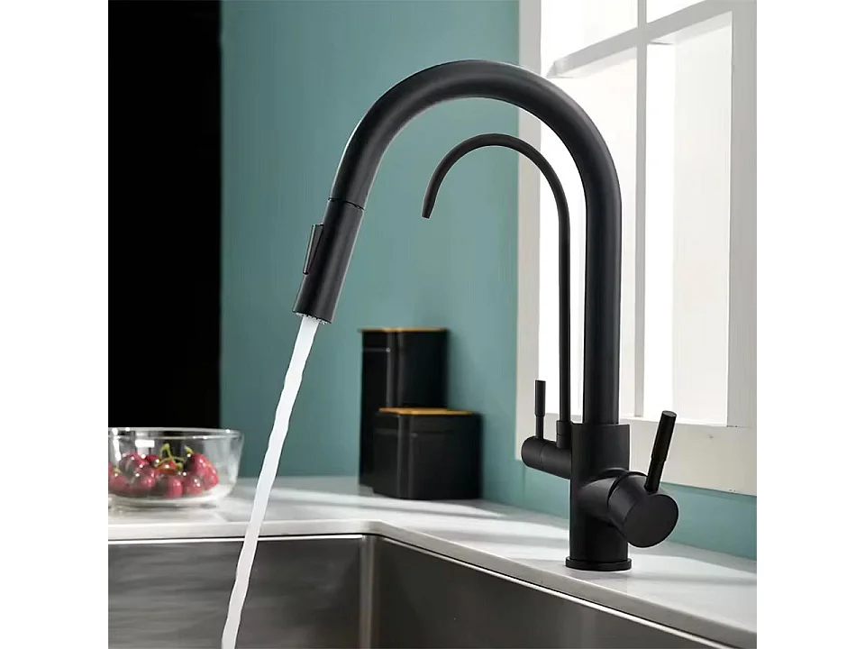 Robinet De Cuisine Rea Eco Fresh Black
