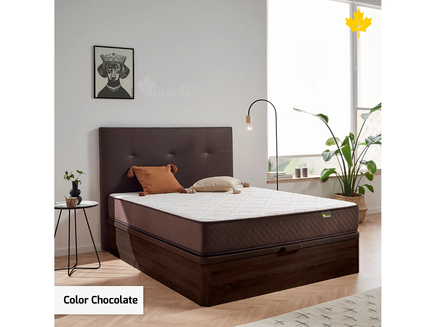 Pack Colchón + Cabecero + Canapé Abatible Descansin | 160 x 190 | Chocolate | Maxima Comodidad | Gran Almacenaje