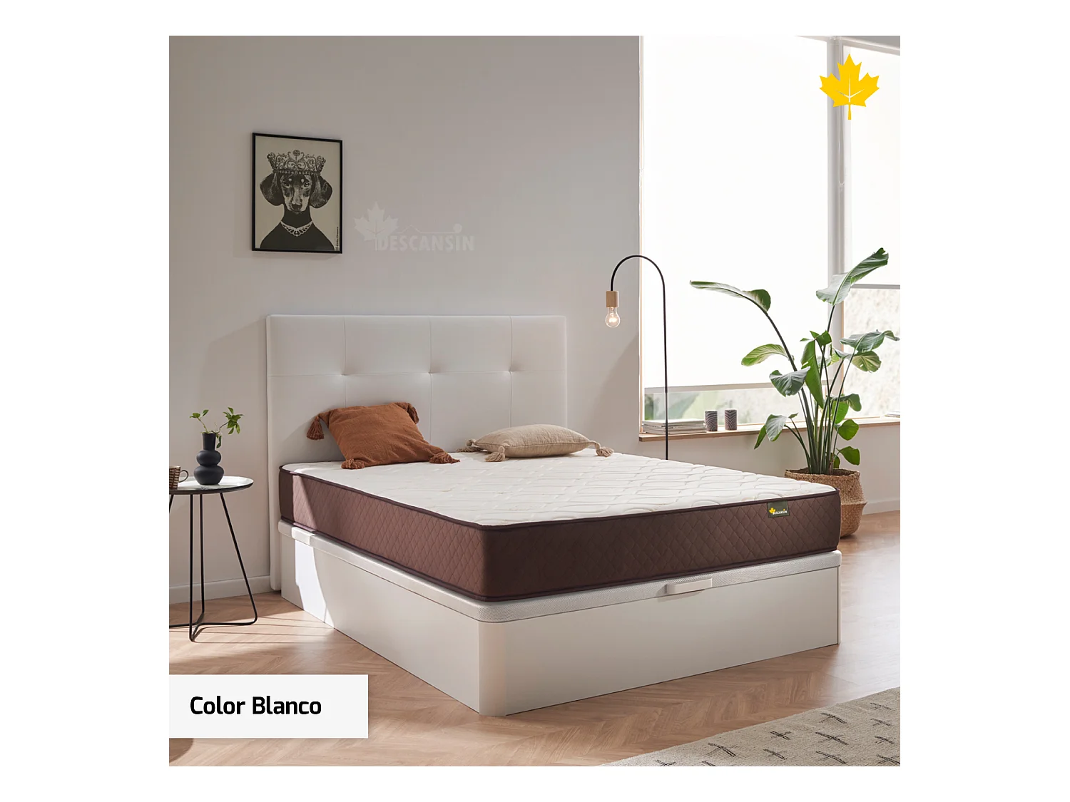 Pack Colchon + Cabecero + Canape Abatible Descansin | 150 x 190 | Blanco | Maxima Comodidad | Gran Almacenaje