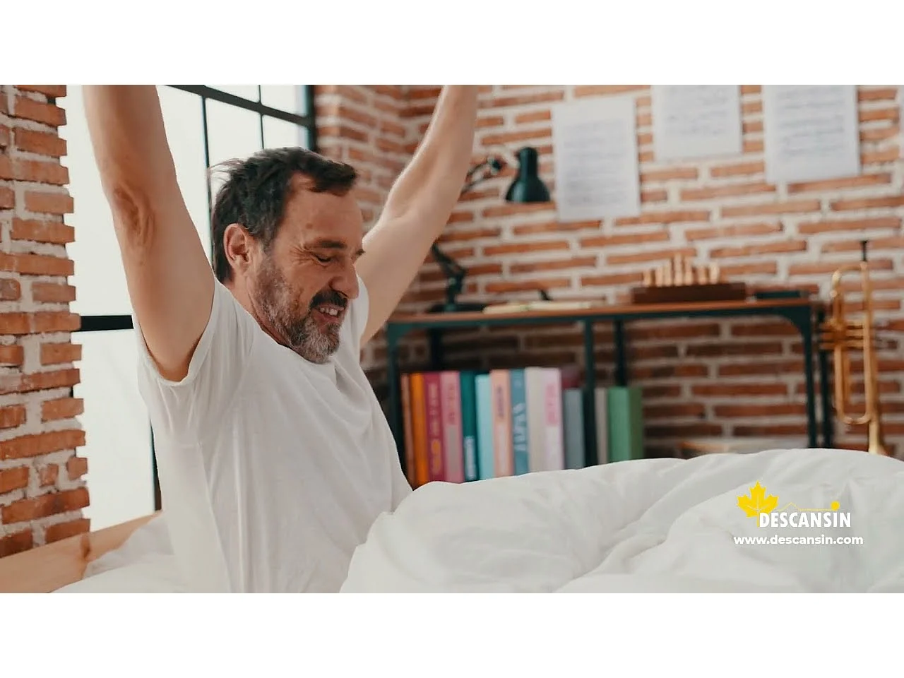 Canape Abatible 150 x 200 cm | Color Chocolate | Con Subida A Domicilio | Reforzado | Gran Almacenaje | Descansin