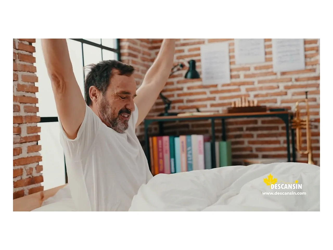 Canape Abatible 90 x 190 cm | Color Beige | Con Subida A Domicilio | Reforzado | Gran Almacenaje | Descansin