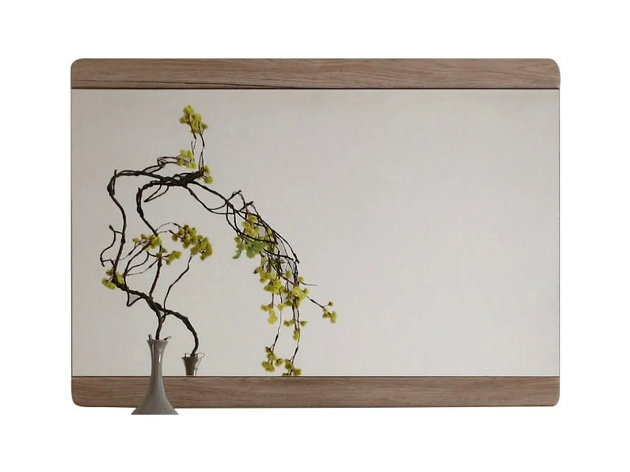 Miroir sans Cadre Malea, Marron, 90x64x4 cm, EPIKASA