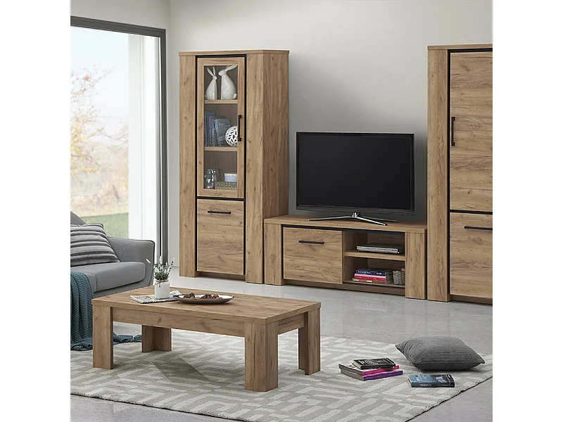 Meuble TV 1 porte 2 niches Lio