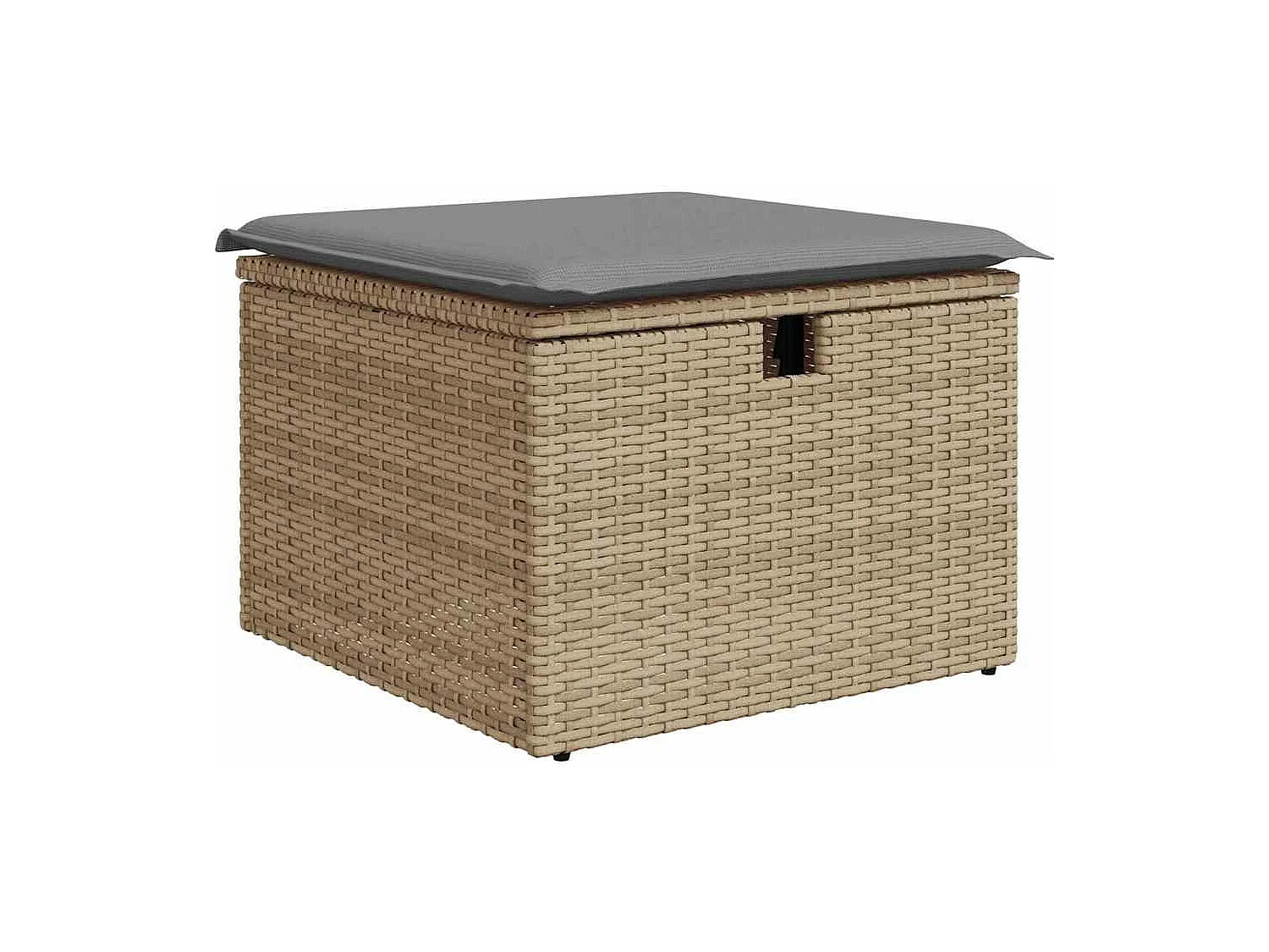 Set sofás jardín y cojines 9 piezas ratán sintético acacia beige