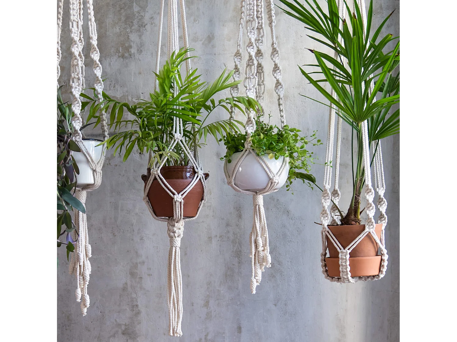 Support Mural pour Plantes Rebecca Mobili Filodendro 150x25x25 Polycoton Beige Boho