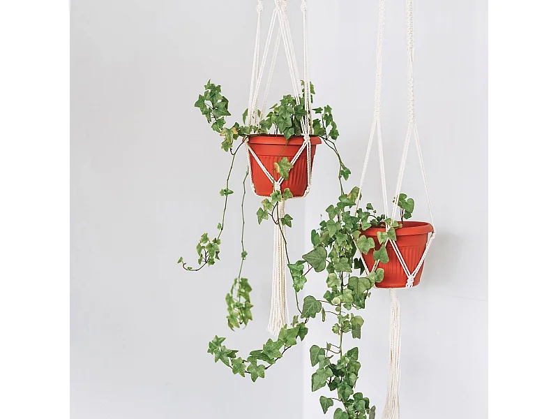 Suporte de Vaso de Parede Rebecca Mobili Sarracenia 100x25x25 Polialgodão Bege Boho