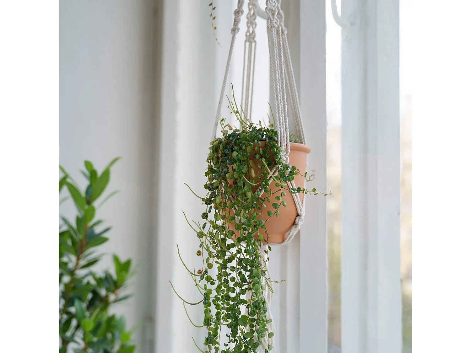 Portavaso da Parete Rebecca Mobili Tecolote 80x25x25 Policotone Beige Boho