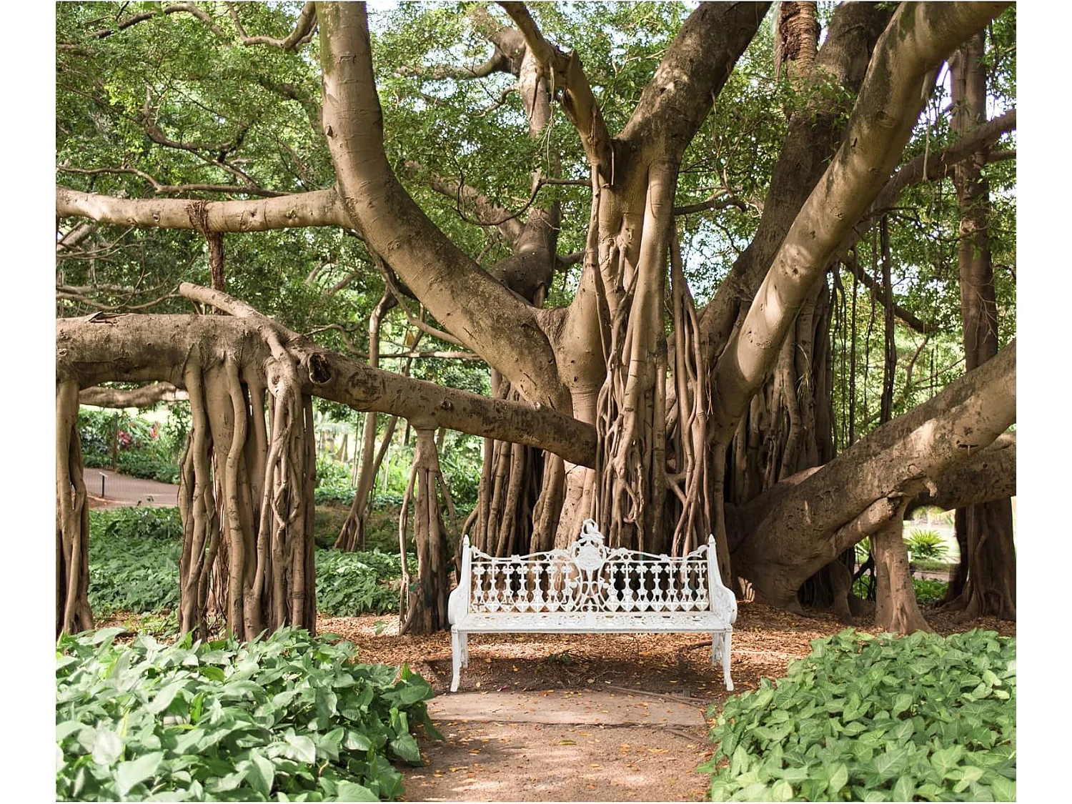 BISCOTTINI Banc – Fer Forgé Finition Blanc Antique – Extérieur – Banc de Jardin - Chaise ou Banc en Métal - Balcon - Terrasse –180 x 70 x 105 cm