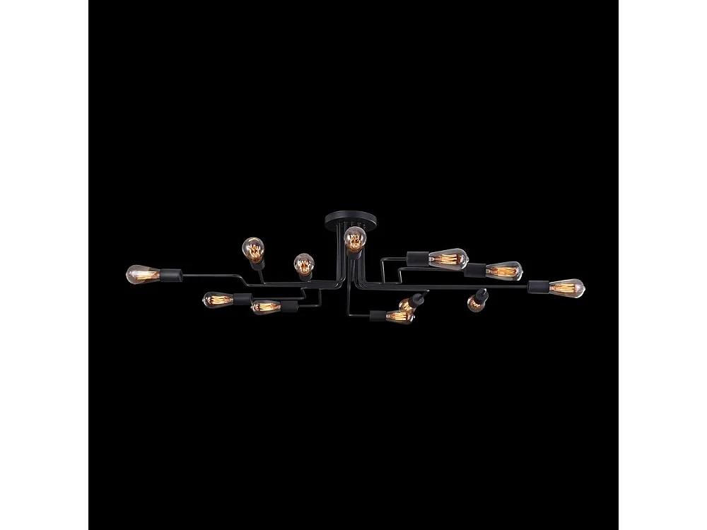Gilbert Deckenleuchte Schwarz, 12 Licht, E27