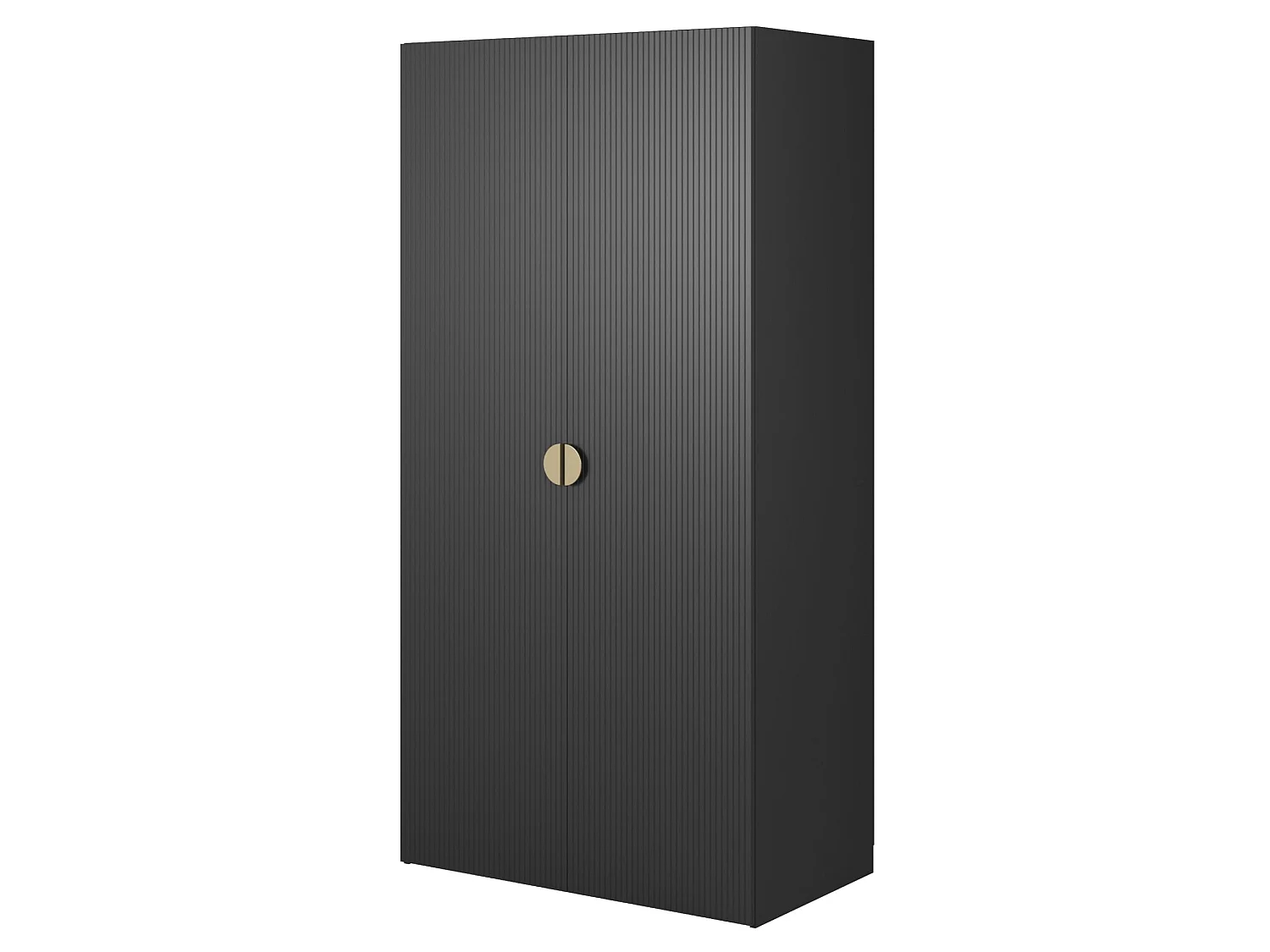 2-deurs kledingkast met roede - 100 cm - zwart - MOONIR
