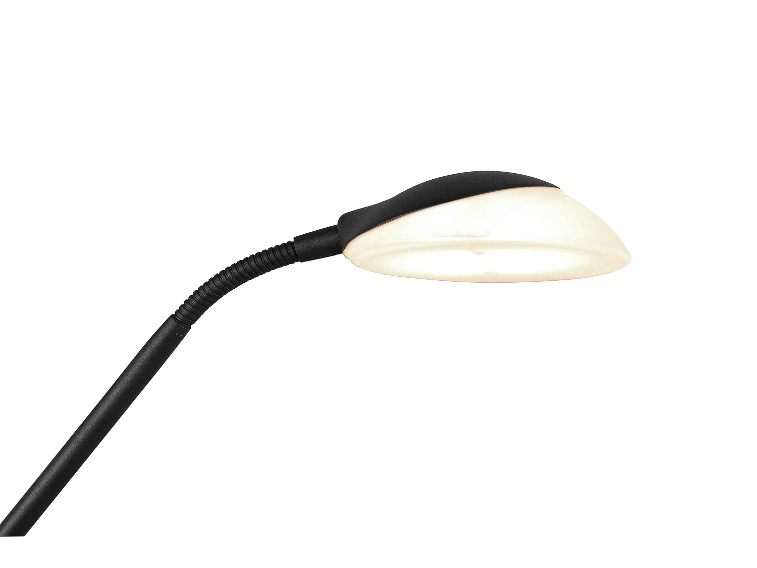 Piantana LED con lampada da lettura, nero, H 180 cm, Orson