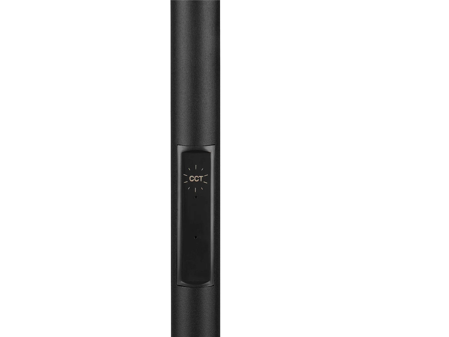 Piantana LED, metallo, nero, H 180 cm, Specter