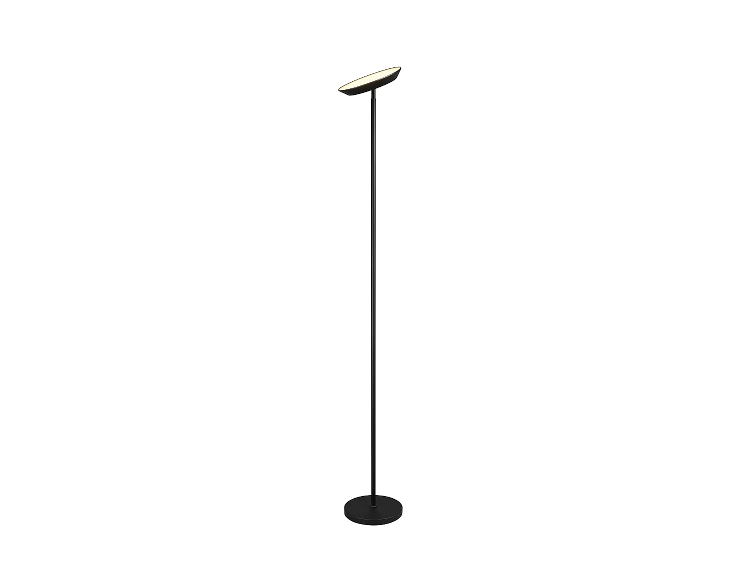 Piantana LED, metallo, nero, H 180 cm, Specter
