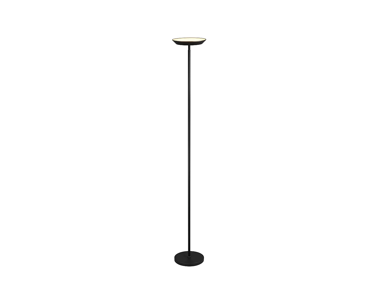 Piantana LED, metallo, nero, H 180 cm, Specter