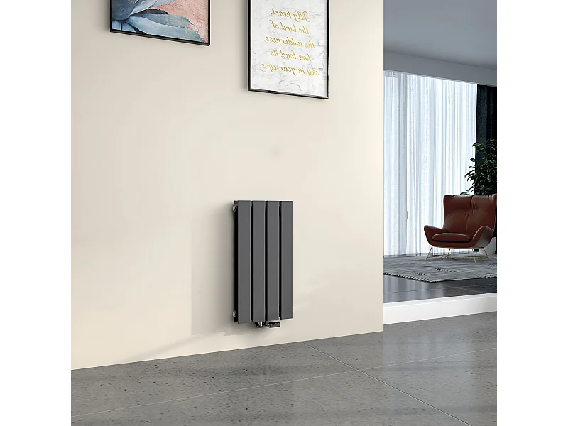 EMKE Radiateur à Eau Chaude, Radiateur plat Double couche connexion centrale, Anthracite 60x30cm