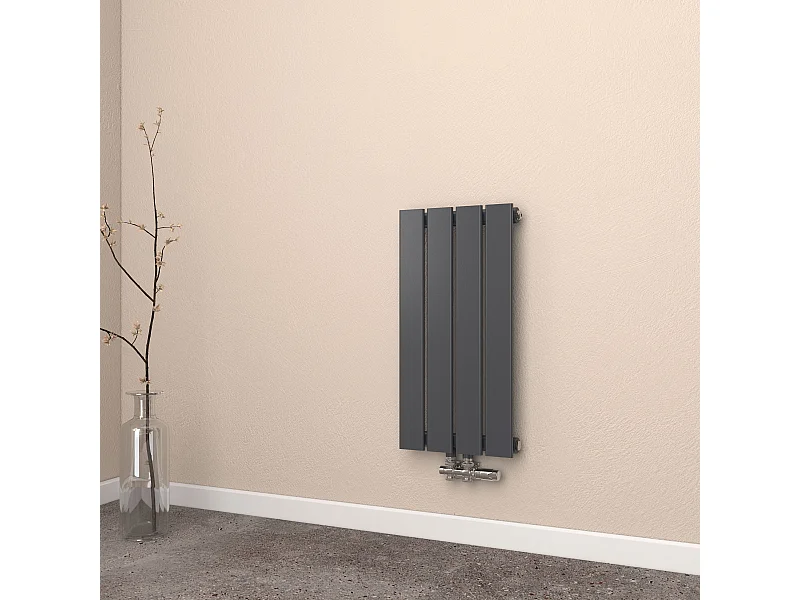 EMKE Radiateur à Eau Chaude, Radiateur plat seule couche connexion centrale, Montage mural vertical design, Noir 60x30cm