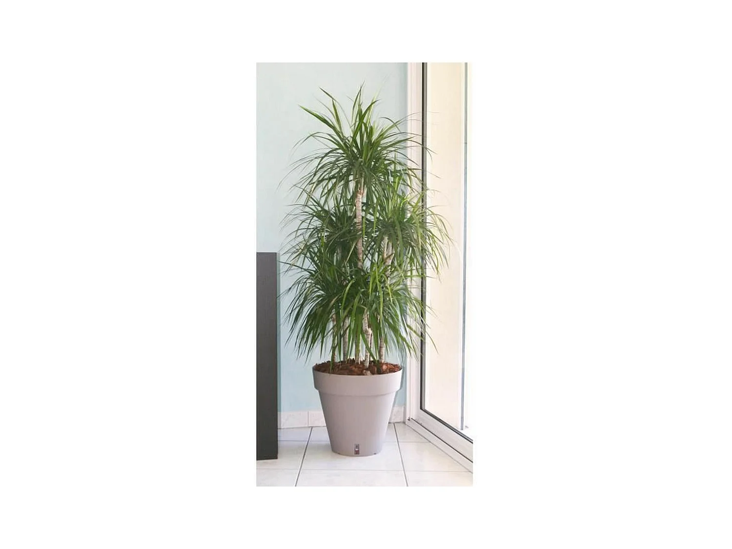 Pot de fleurs Loft avec réserve d'eau - Rond Ø 50 x 46 cm -Taupe
