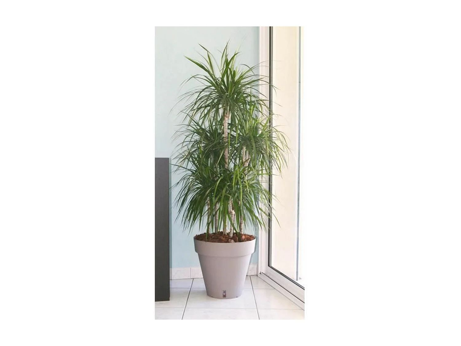 Pot de fleurs Loft avec réserve d'eau - Rond Ø 50 x 46 cm -Taupe