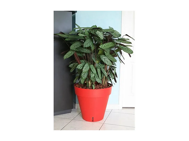 Pot de fleurs Loft avec réserve d'eau - Rond Ø 50 x 46 cm - Rouge