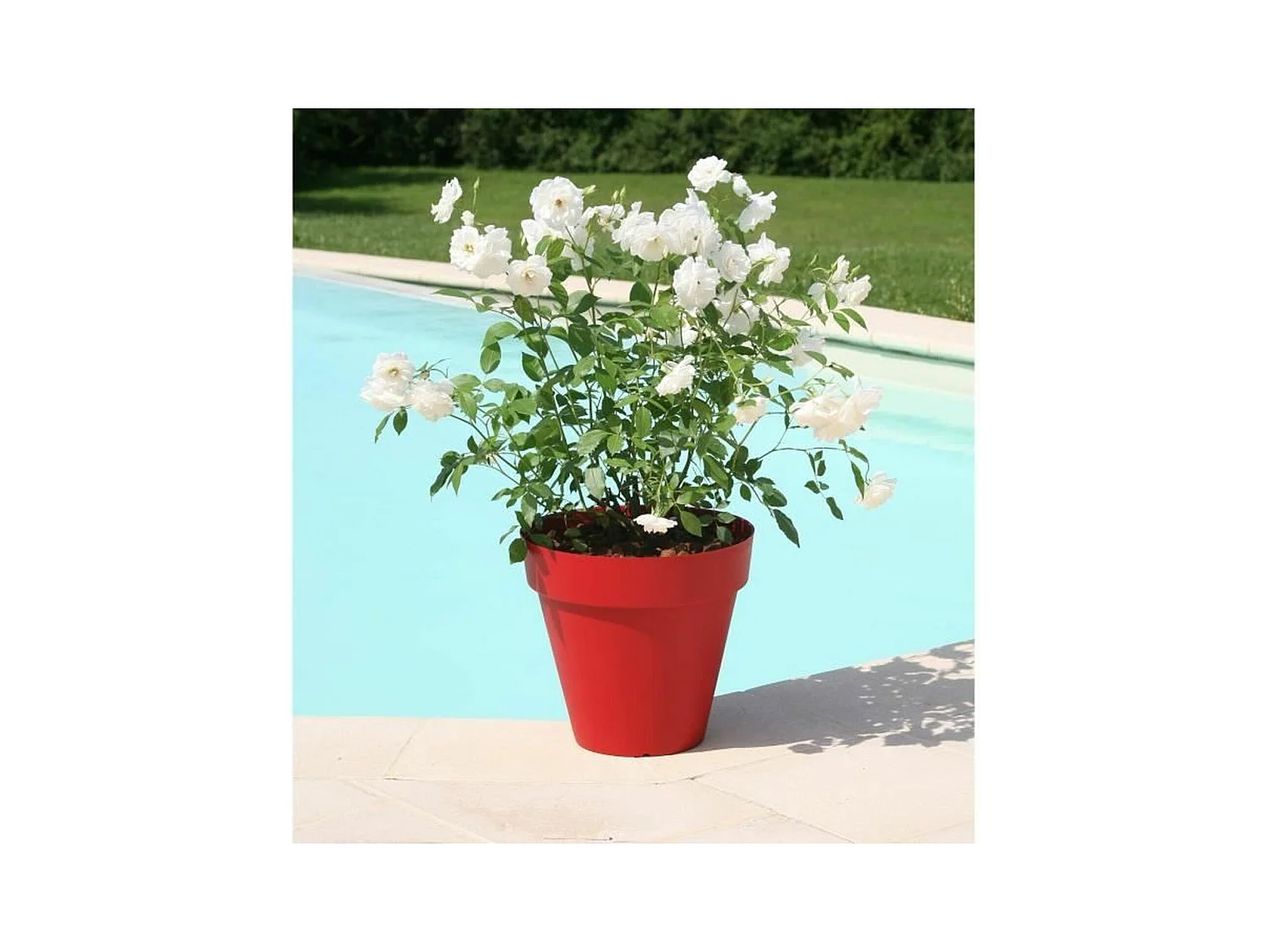 Pot de fleurs Soleilla - Rond Ø 49 x 44,8 cm - Rouge