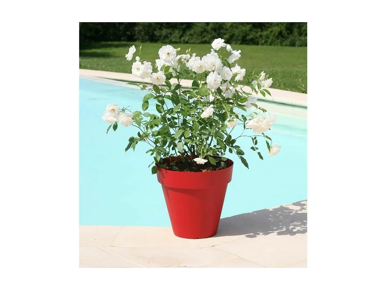 Pot de fleurs Soleilla - Rond Ø 49 x 44,8 cm - Rouge