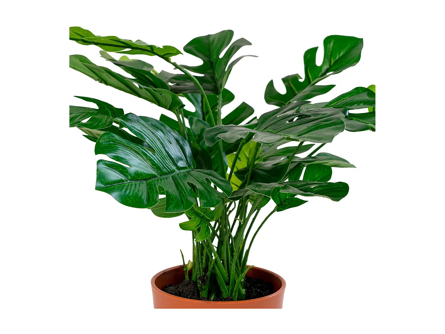 Künstliche Pflanze, Monstera, Grün, 45 cm