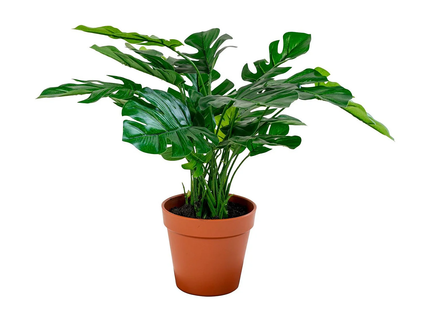 Künstliche Pflanze, Monstera, Grün, 45 cm