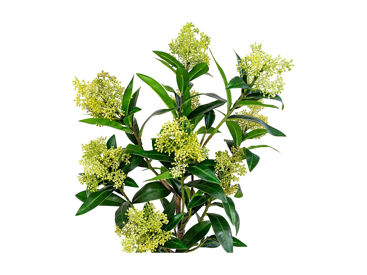 Kunstmatige Skimmia boom 75 cm
