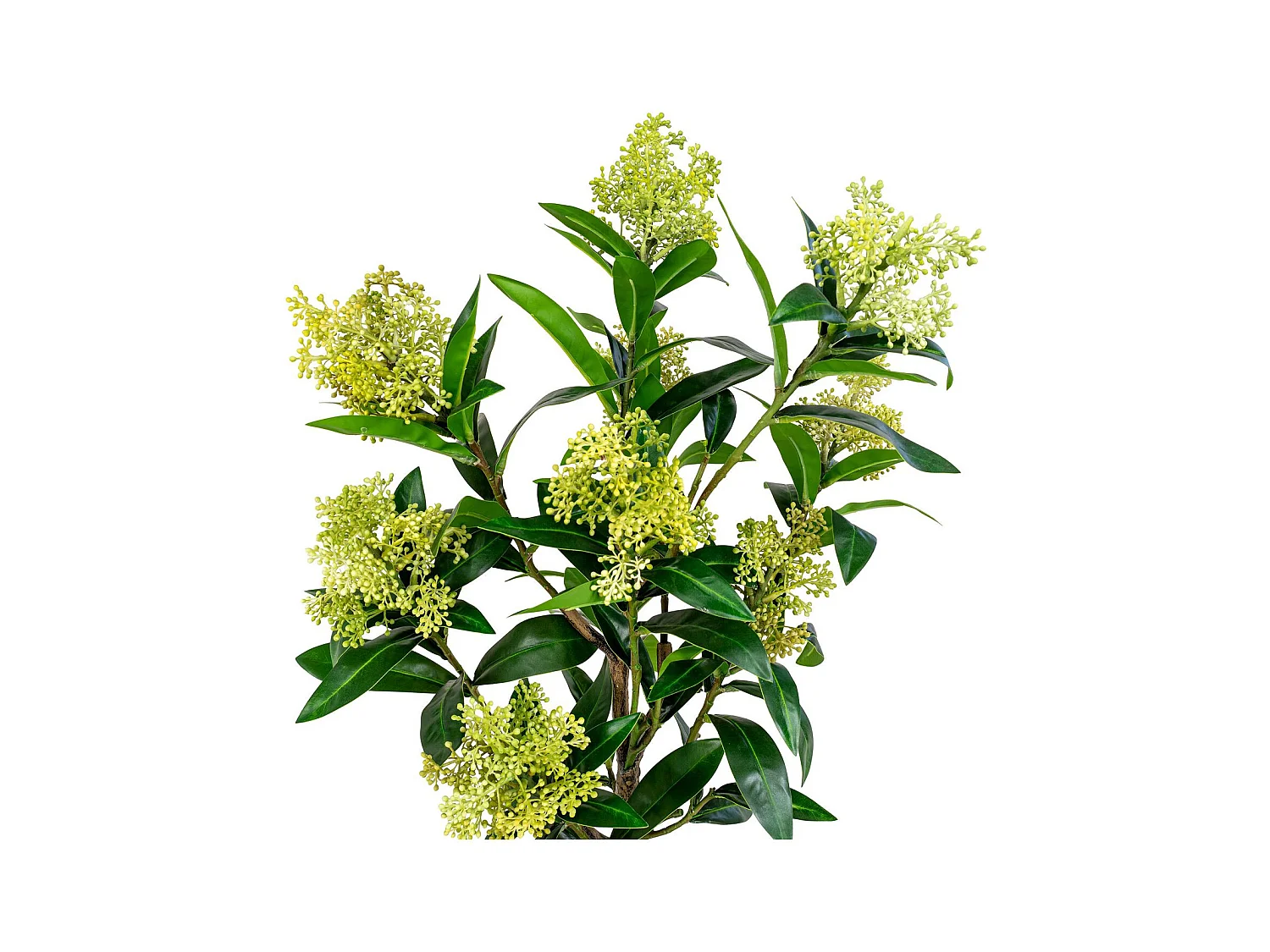 Kunstmatige Skimmia boom 75 cm